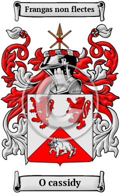 O cassidy Family Crest/Coat of Arms