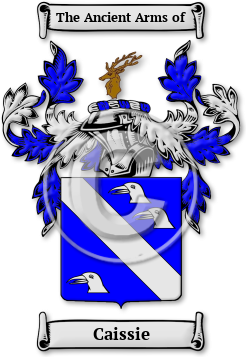 Caissie Family Crest Download (jpg) Legacy Series - 150 DPI