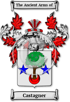 Castagner Family Crest Download (jpg) Legacy Series - 150 DPI