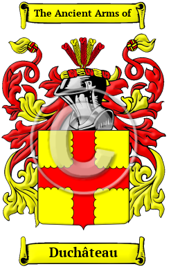 Duchâteau Family Crest/Coat of Arms