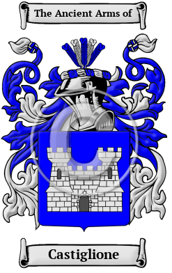 Castiglione Name Meaning, Family History, Family Crest & Coats of Arms