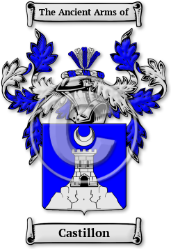 Castillon Family Crest Download (jpg) Legacy Series - 150 DPI