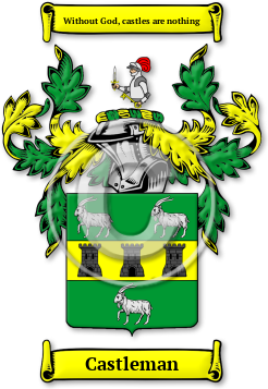 Castleman Family Crest Download (jpg) Legacy Series - 150 DPI