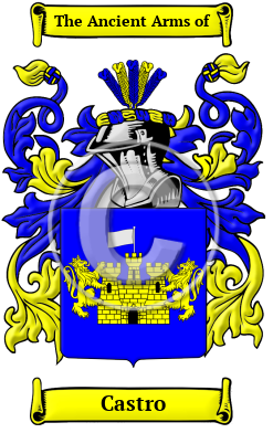 Castro Family Crest Download (JPG) Heritage Series - 600 DPI