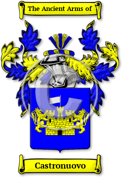 Castronuovo Family Crest Download (jpg) Legacy Series - 150 DPI