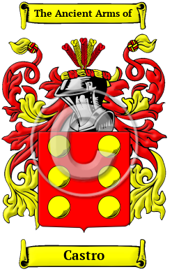 Castro Family Crest Download (JPG) Heritage Series - 600 DPI