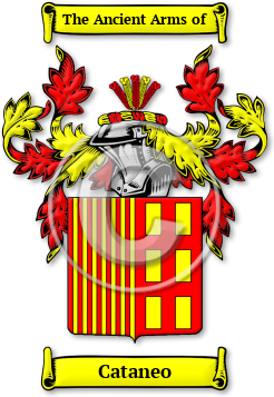 Cataneo Family Crest Download (jpg) Legacy Series - 150 DPI