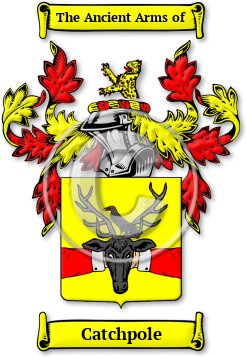 Catchpole Family Crest Download (jpg) Legacy Series - 150 DPI