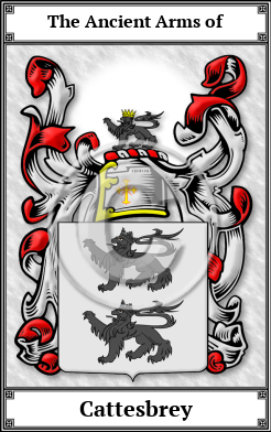 Cattesbrey Family Crest Download (JPG)  Book Plated - 150 DPI