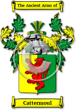 Cattermoul Family Crest Download (jpg) Legacy Series - 150 DPI