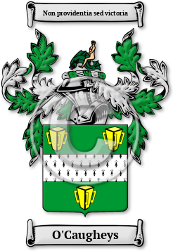 O'Caugheys Family Crest Download (jpg) Legacy Series - 150 DPI