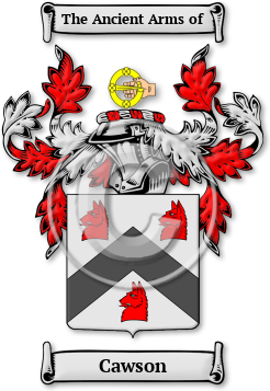 Cawson Family Crest Download (jpg) Legacy Series - 150 DPI