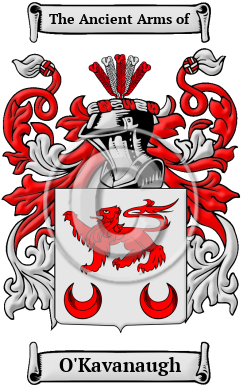 O'Kavanaugh Family Crest/Coat of Arms