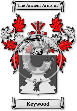 Keywood Family Crest Download (JPG) Legacy Series - 300 DPI