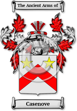 Casenove Family Crest Download (JPG) Legacy Series - 600 DPI