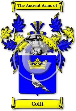 Colli Family Crest Download (jpg) Legacy Series - 150 DPI