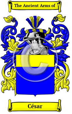 César Family Crest Download (JPG) Heritage Series - 300 DPI