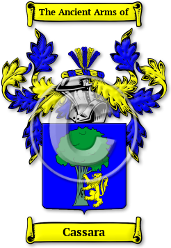 Cassara Family Crest Download (jpg) Legacy Series - 150 DPI