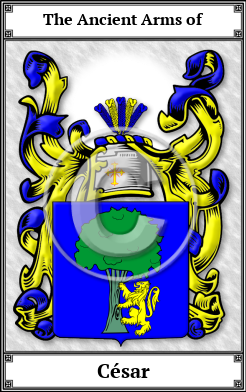 César Family Crest Download (JPG)  Book Plated - 150 DPI