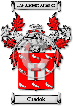 Chadok Family Crest Download (jpg) Legacy Series - 150 DPI