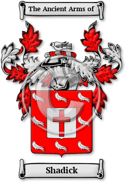 Shadick Family Crest Download (jpg) Legacy Series - 150 DPI