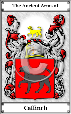 Caffinch Family Crest Download (JPG) Book Plated - 600 DPI