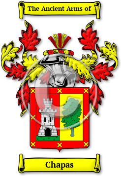 Chapas Family Crest Download (jpg) Legacy Series - 150 DPI