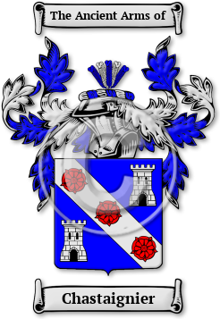 Chastaignier Family Crest Download (jpg) Legacy Series - 150 DPI