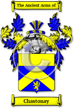 Chastonay Family Crest Download (JPG) Legacy Series - 600 DPI