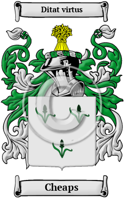 Cheaps Family Crest Download (JPG) Heritage Series - 600 DPI