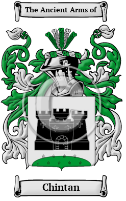 Chintan Family Crest Download (JPG) Heritage Series - 600 DPI