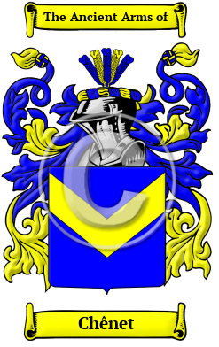 Chênet Family Crest Download (JPG) Heritage Series - 300 DPI