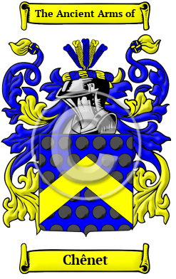Chênet Family Crest Download (JPG) Heritage Series - 300 DPI