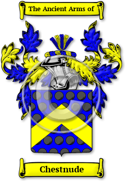 Chestnude Family Crest Download (JPG) Legacy Series - 600 DPI