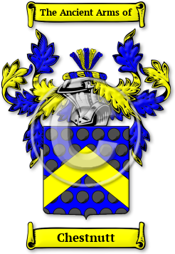 Chestnutt Family Crest Download (jpg) Legacy Series - 150 DPI