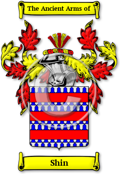 Shin Family Crest Download (jpg) Legacy Series - 150 DPI