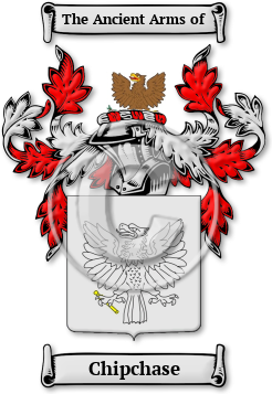Chipchase Family Crest Download (JPG) Legacy Series - 600 DPI