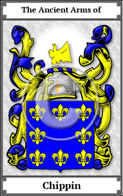 Chippin Family Crest Download (JPG) Book Plated - 600 DPI