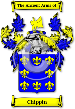 Chippin Family Crest Download (JPG) Legacy Series - 600 DPI