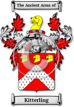 Kitterling Family Crest Download (jpg) Legacy Series - 150 DPI