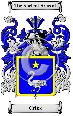 Criss Family Crest Download (JPG) Heritage Series - 600 DPI