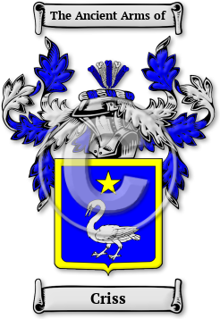 Criss Family Crest Download (jpg) Legacy Series - 150 DPI