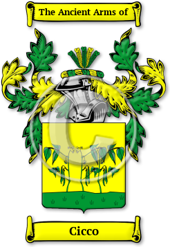 Cicco Family Crest Download (jpg) Legacy Series - 150 DPI