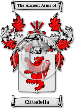 Cittadella Family Crest Download (jpg) Legacy Series - 150 DPI
