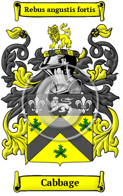 Cabbage Family Crest Download (JPG) Heritage Series - 600 DPI