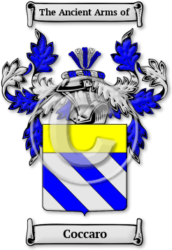 Coccaro Family Crest Download (jpg) Legacy Series - 150 DPI