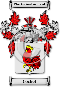 Cochet Family Crest Download (JPG) Legacy Series - 600 DPI
