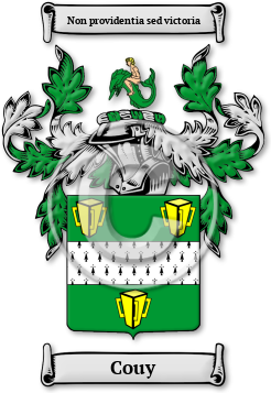 Couy Family Crest Download (jpg) Legacy Series - 150 DPI