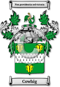 Cowhig Family Crest Download (JPG) Legacy Series - 300 DPI