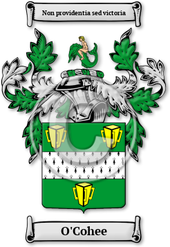 O'Cohee Family Crest Download (jpg) Legacy Series - 150 DPI